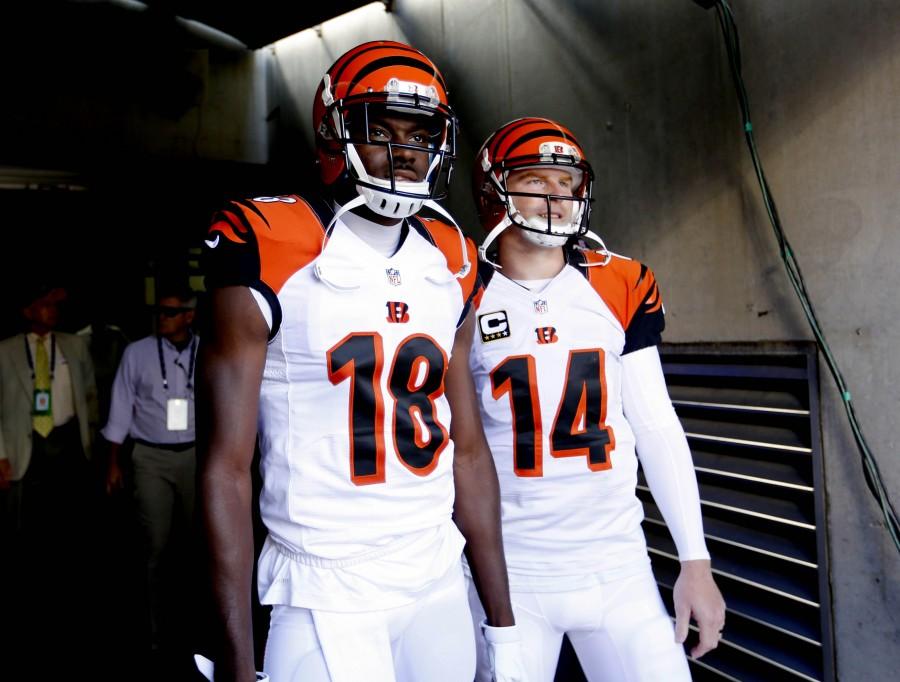 NFL: Atlanta Falcons at Cincinnati Bengals