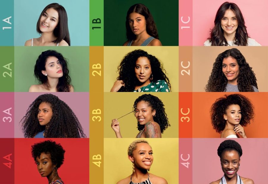 A+chart+showing+the+different+types+of+hair+and+the+skintones+affiliated+with+them.