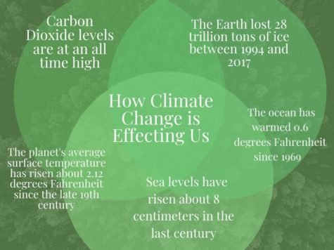 Statistics on how climate change is actively affecting us.