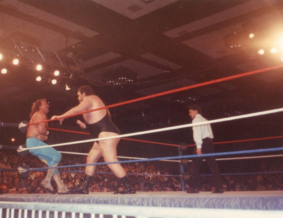 Andre+the+Giant+vs.+Jake+the+Snake+Roberts+at+WWF+Wrestlemania+V+in+1989.%0A
