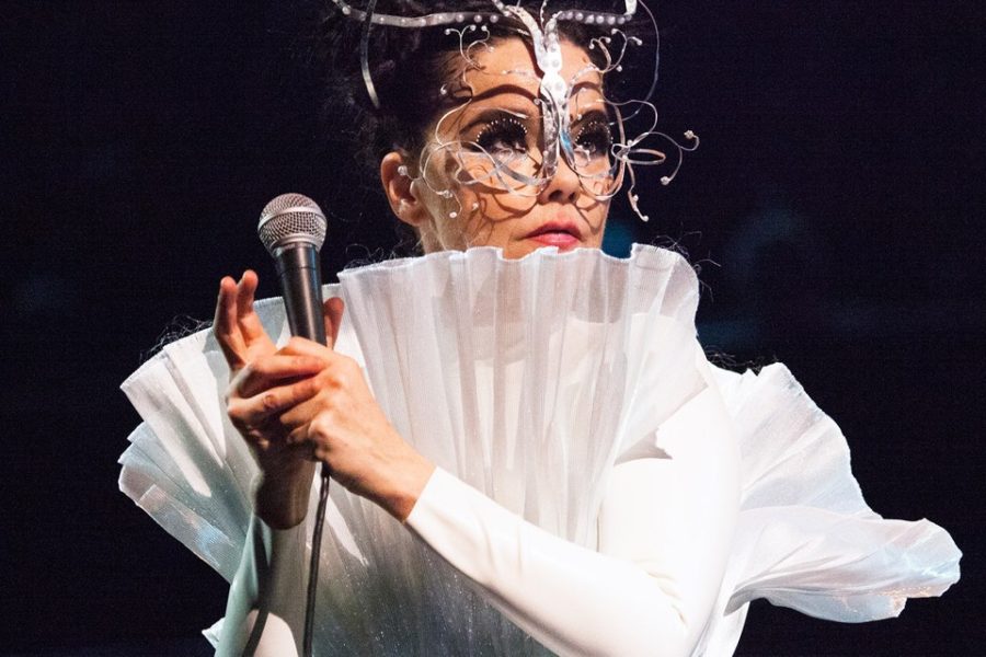 Björks leap into blissful solitude