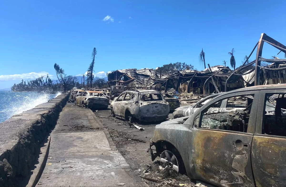The Maui Wildfires: an update