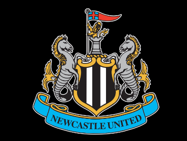 Premier League team Newcastle United which was purchased by Saudi Arabia in October 2021 for 305 million