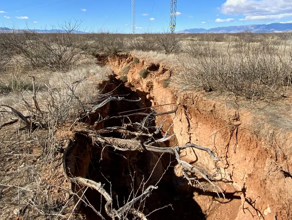 A fissure in Arizona tears open the earth and roots.