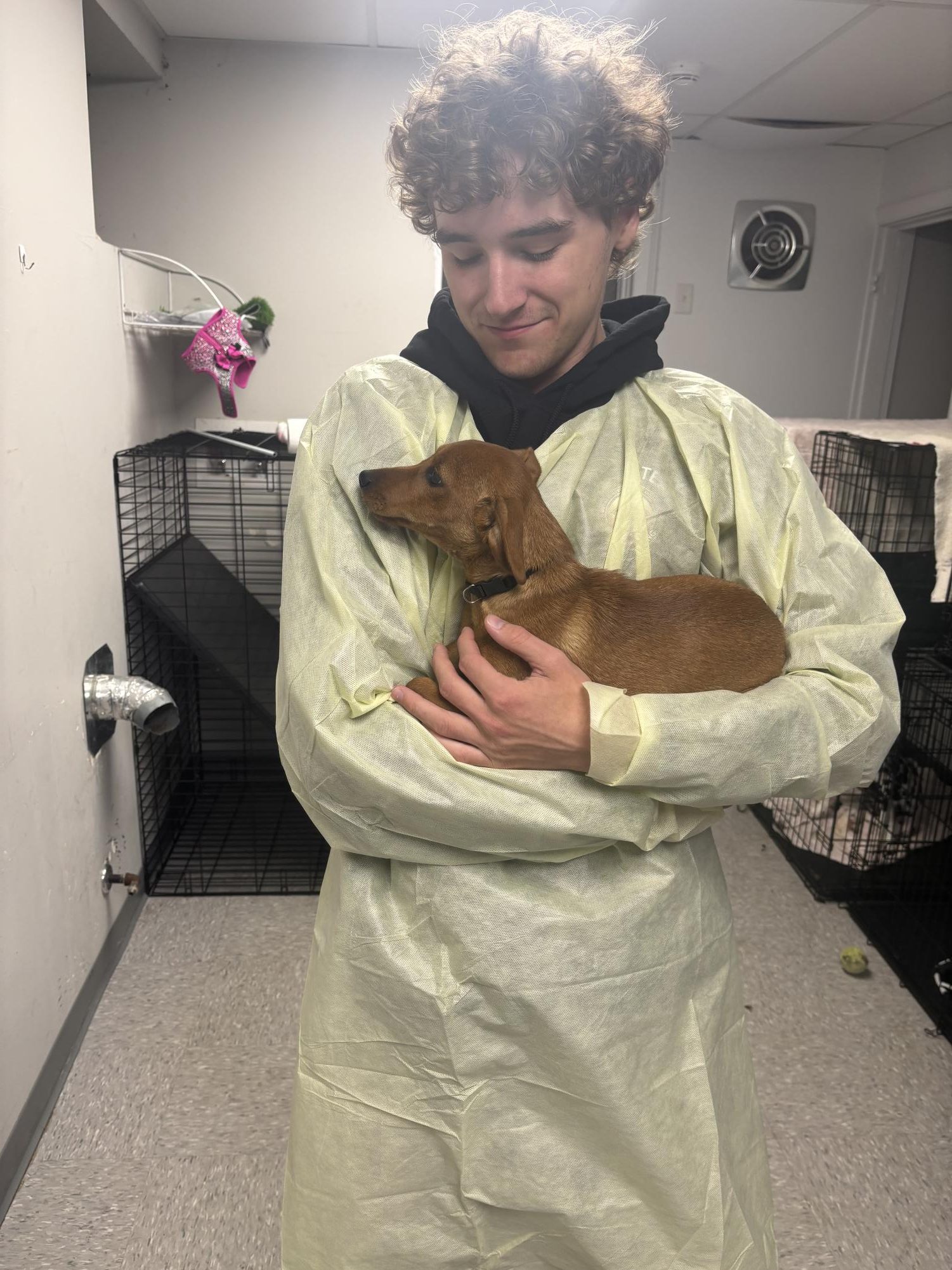 NHS Student Gives Back to Local Dog Rescue