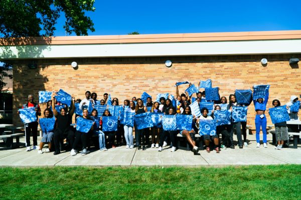 Field day event celebrates African culture