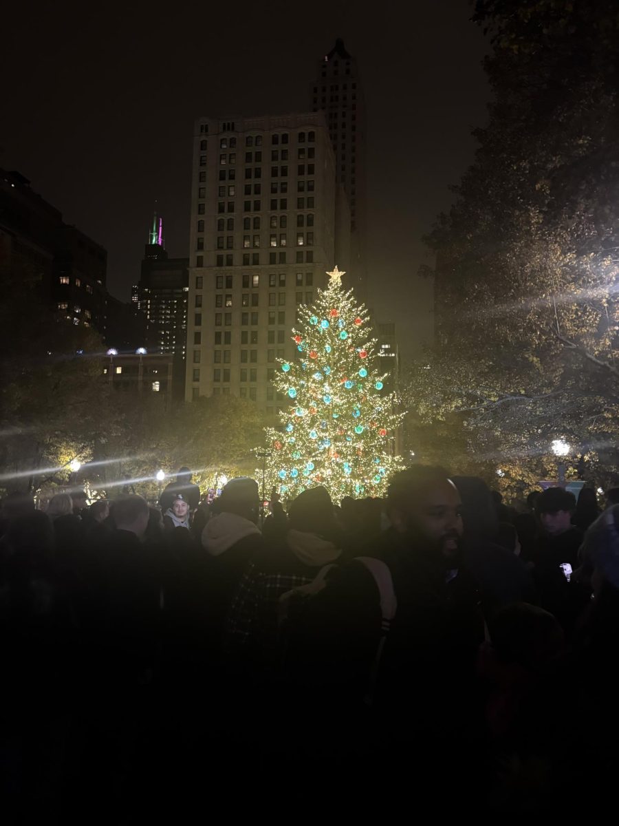 Millennium Park tree lighting-Chicago IL