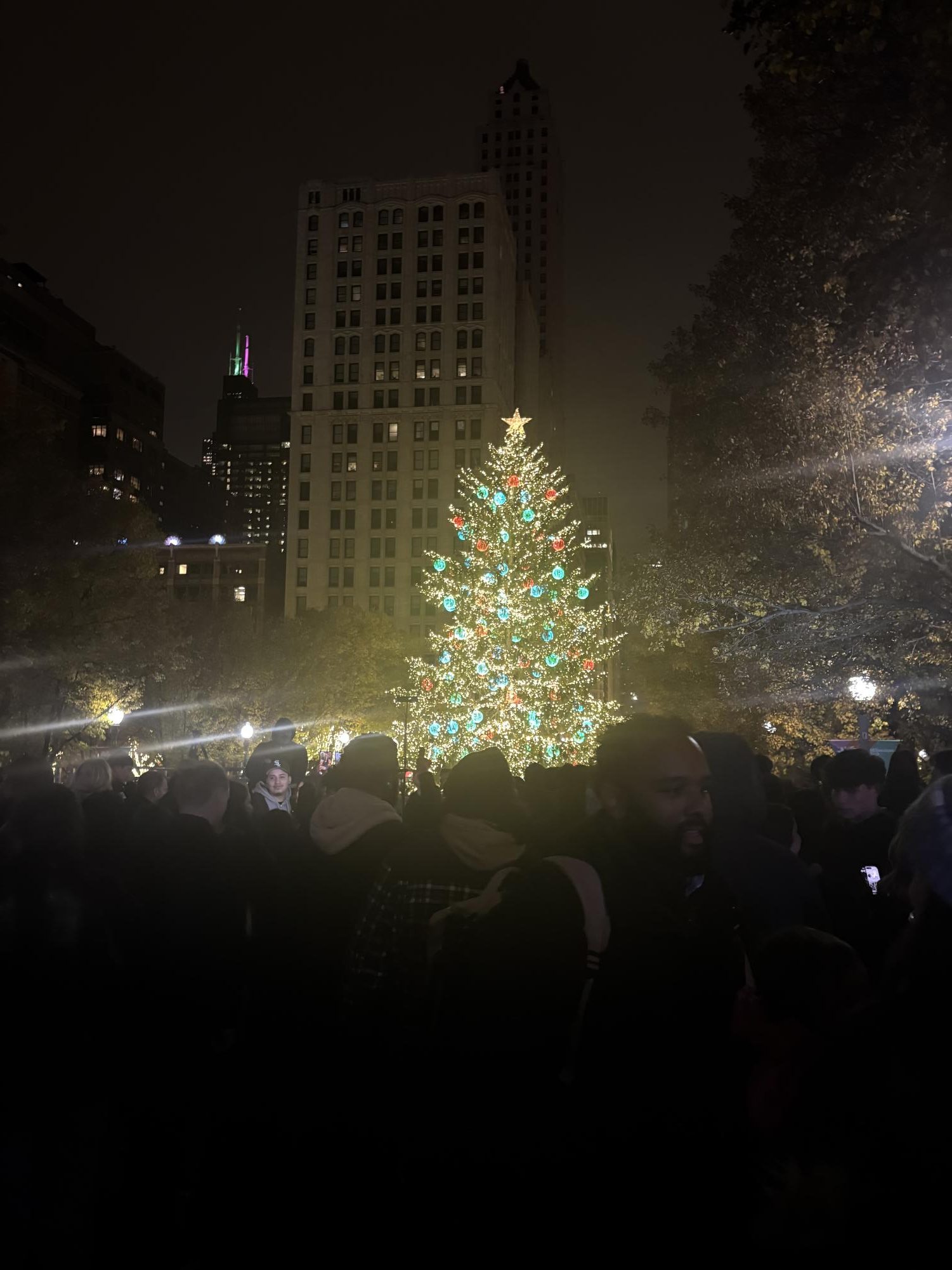 Millennium Park tree lighting-Chicago IL